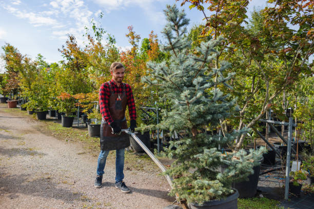 Best Fruit Tree Pruning  in Liberty Corner, NJ