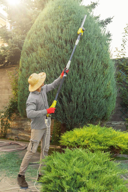 Best Tree and Shrub Care  in Liberty Corner, NJ